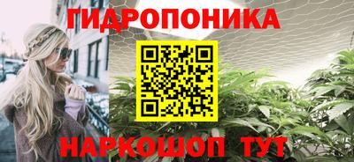 бошки Гусев