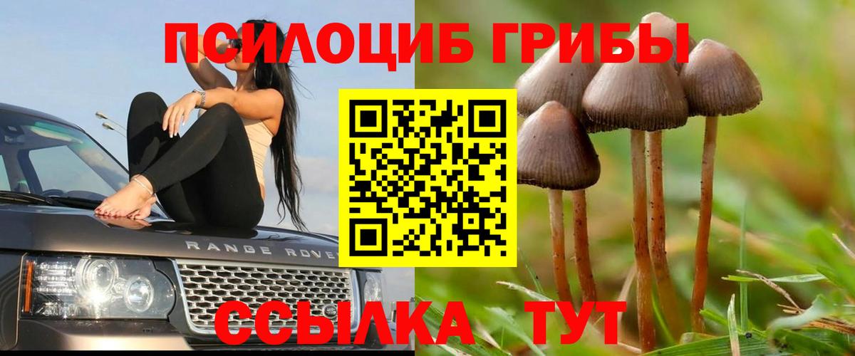 Галлюциногенные грибы MAGIC MUSHROOMS Нижний Новгород
